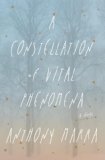 A Constellation of Vital Phenomena: A Novel